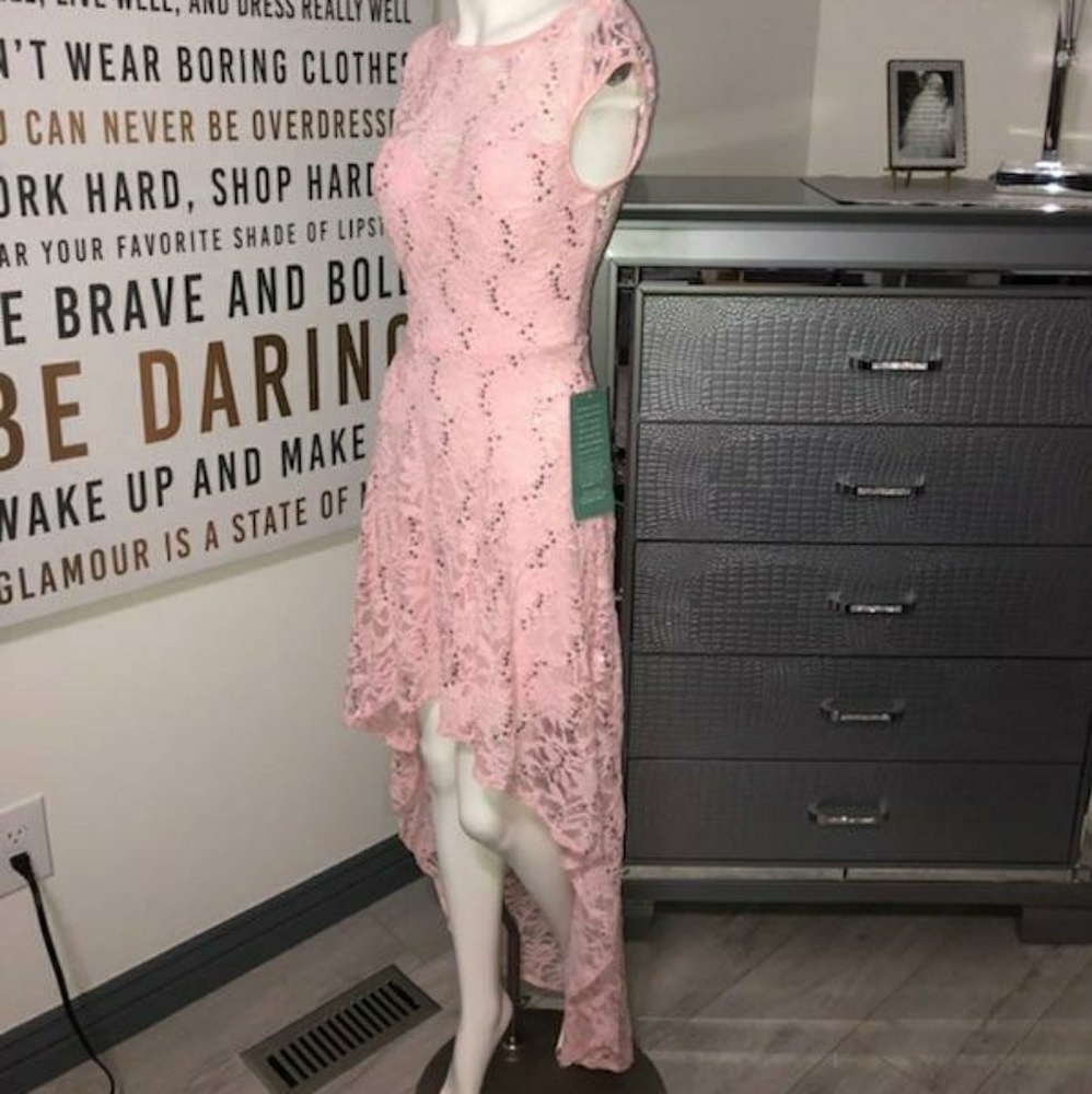 NWT Pink Lace dress